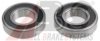 A.B.S. 200550 Wheel Bearing Kit